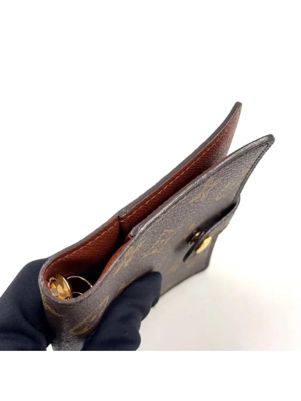 Louis Vuitton brand louis